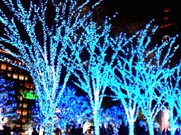 クリスマス・イルミネーションｉｎ新宿３