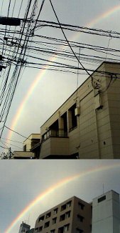 東京の空にだって虹は出るんだよ